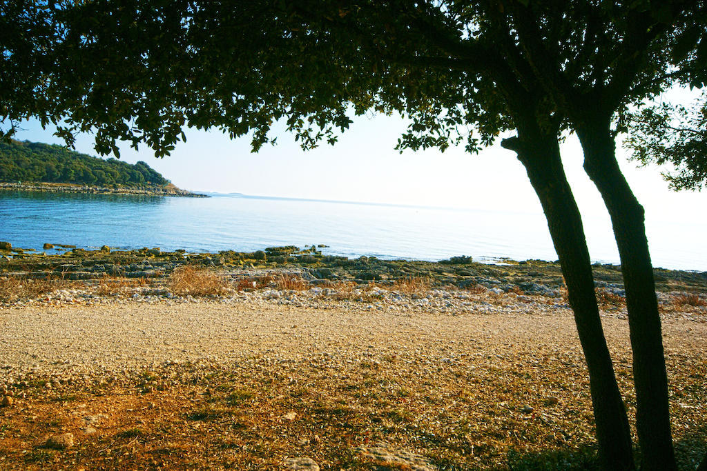 Guest House Robert I Mirna Bale Exterior foto